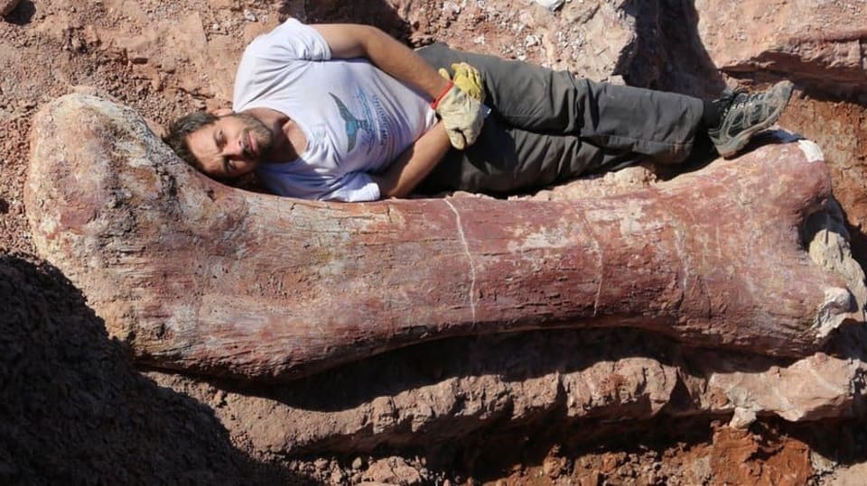 Kost největšího dinosaura